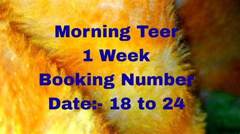 morning teer 1